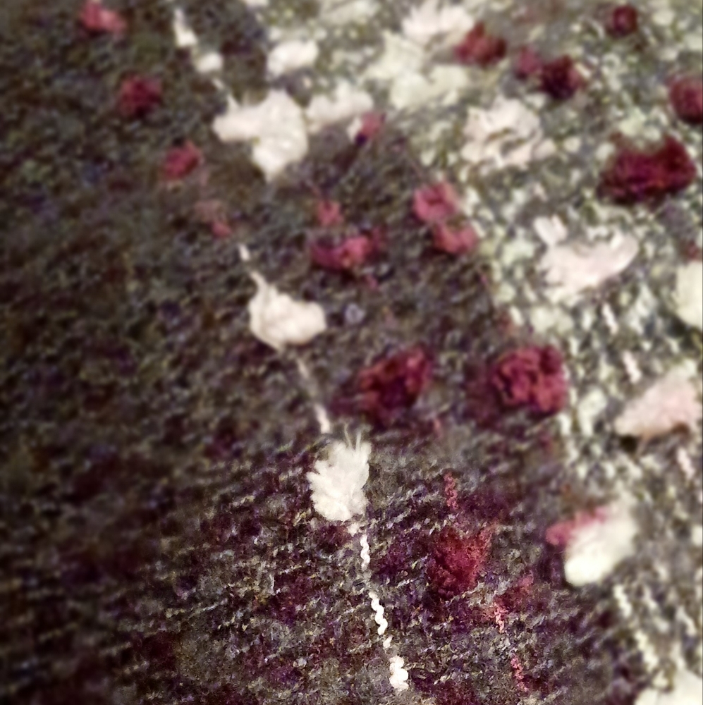 Poncho - Picture 5 of 5